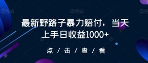 最新野路子暴力赔付，当天上手日收益1000+【仅揭秘】-第一资源网