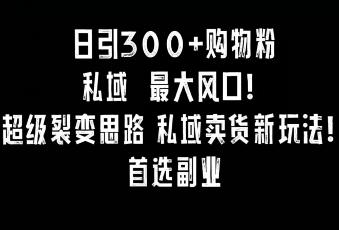 日引300+购物粉，超级裂变思路，私域卖货新玩法，小红书首选副业【揭秘】-第一资源网