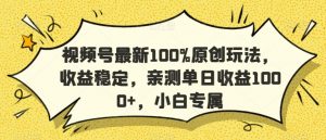 视频号最新100%原创玩法,收益稳定,亲测单日收益1000+,小白专属【揭秘】-第一资源网