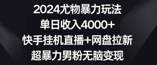 2024尤物暴力玩法，单日收入4000+，快手挂机直播+网盘拉新，超暴力男粉无脑变现【揭秘】-第一资源网