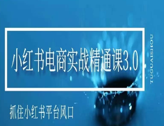 小红书电商实战精通课3.0，抓住小红书平台的风口，不错过有一个赚钱的机会-第一资源网