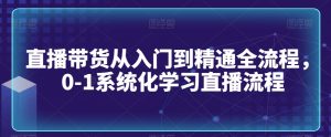 直播带货从入门到精通全流程，0-1系统化学习直播流程-第一资源网