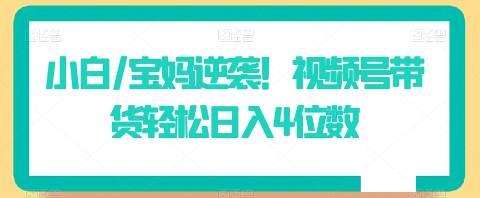 小白/宝妈逆袭！视频号带货轻松日入4位数【揭秘】-第一资源网