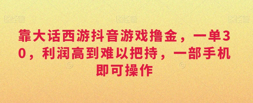 靠大话西游抖音游戏撸金，一单30，利润高到难以把持，一部手机即可操作，日入3000+【揭秘】-第一资源网