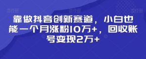 靠做抖音创新赛道，小白也能一个月涨粉10万+，回收账号变现2万+【揭秘】-第一资源网