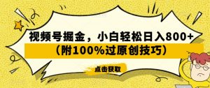 视频号掘金，小白轻松日入800+（附100%过原创技巧）【揭秘】-第一资源网
