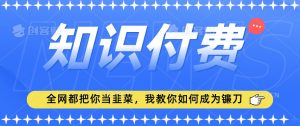 2024最新知识付费项目,小白也能轻松入局,全网都在教你做项目,我教你做镰刀【揭秘】-第一资源网