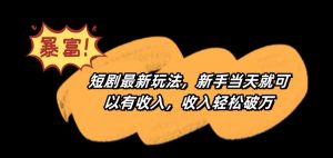 短剧最新玩法,新手当天就可以有收入,收入轻松破万【揭秘】-第一资源网