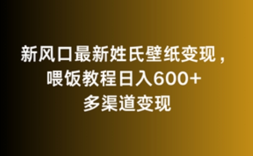 新风口最新姓氏壁纸变现，喂饭教程日入600+【揭秘】-第一资源网