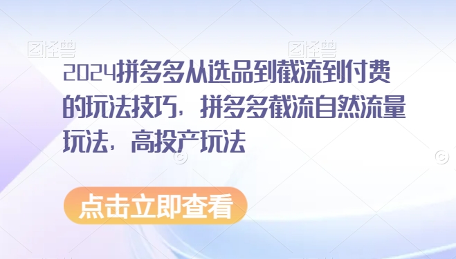 2024拼多多从选品到截流到付费的玩法技巧，拼多多截流自然流量玩法，高投产玩法-第一资源网