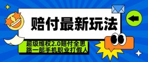 超级维权2.0全新玩法，2024赔付全思路职业打假一部手机搞定【仅揭秘】-第一资源网