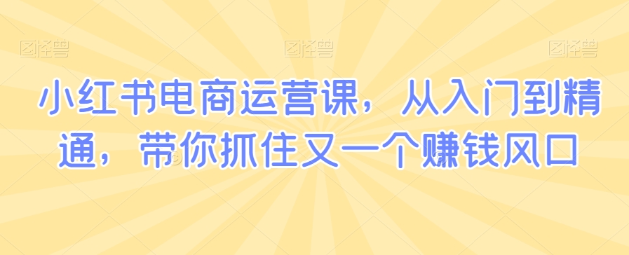 小红书电商运营课，从入门到精通，带你抓住又一个赚钱风口-第一资源网