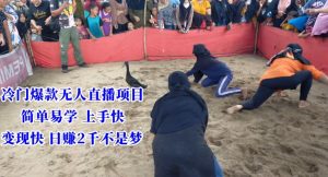 冷门爆款无人直播项目，简单易学上手快，变现快日赚2千不是梦【揭秘】-第一资源网