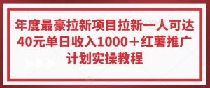 年度最豪拉新项目拉新一人可达40元单日收入1000+红薯推广计划实操教程【揭秘】-第一资源网
