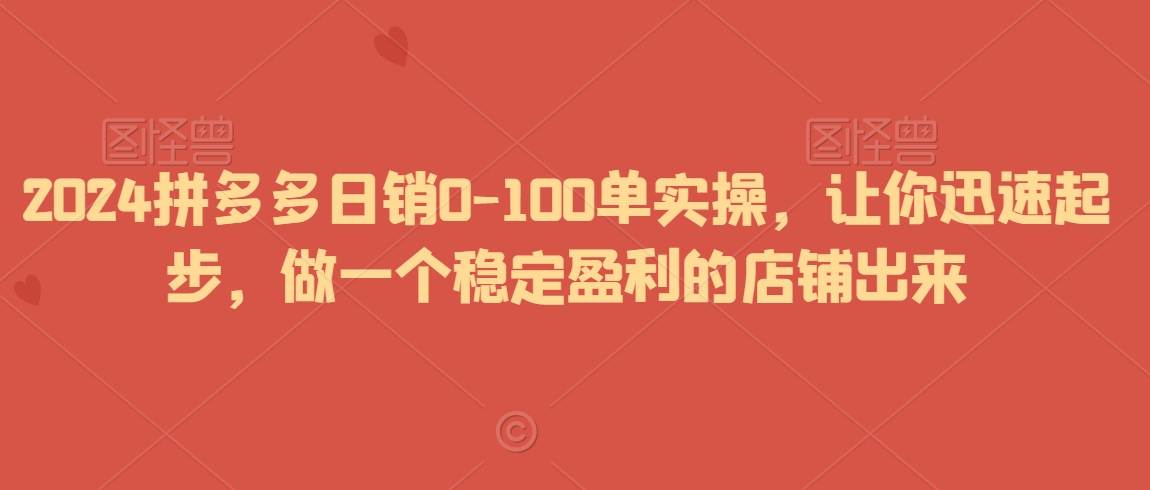 2024拼多多日销0-100单实操，让你迅速起步，做一个稳定盈利的店铺出来-第一资源网