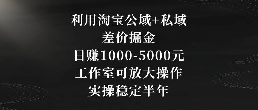 利用淘宝公域+私域差价掘金，日赚1000-5000元，工作室可放大操作，实操稳定半年【揭秘】-第一资源网