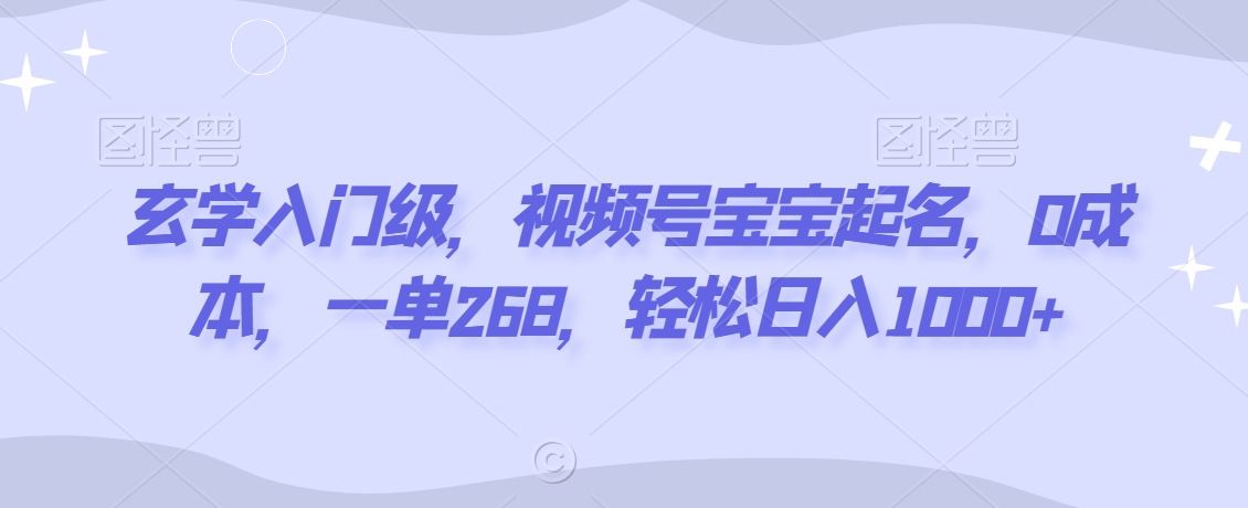 玄学入门级，视频号宝宝起名，0成本，一单268，轻松日入1000+【揭秘】-第一资源网