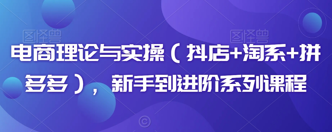 电商理论与实操（抖店+淘系+拼多多），新手到进阶系列课程-第一资源网