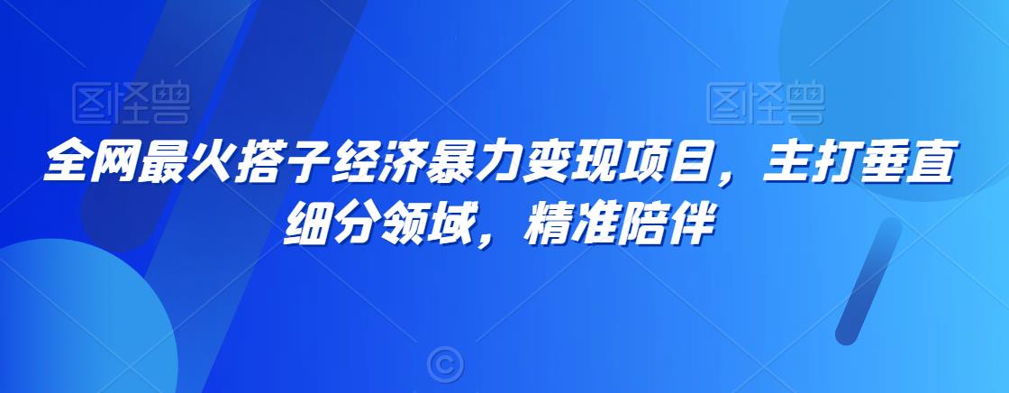 全网最火搭子经济暴力变现项目，主打垂直细分领域，精准陪伴【揭秘】-第一资源网