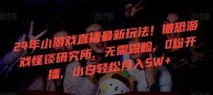 24年小游戏直播最新玩法！微恐游戏怪谈研究所，无需露脸，0粉开播，小白轻松月入5W+【揭秘】-第一资源网