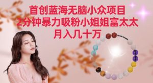 首创蓝海无脑小众项目，2分钟暴力吸粉小姐姐富太太，月入几十万【揭秘】-第一资源网