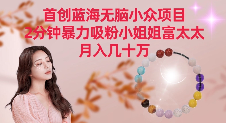 首创蓝海无脑小众项目，2分钟暴力吸粉小姐姐富太太，月入几十万【揭秘】-第一资源网