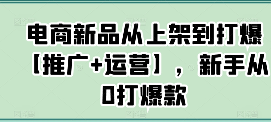 电商新品从上架到打爆【推广+运营】，新手从0打爆款-第一资源网