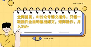 全网首发，AI公众号爆文插件，只需一款插件全自动输出爆文，矩阵操作，月入3W+【揭秘】-第一资源网