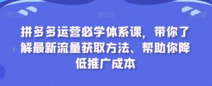 拼多多运营必学体系课,带你了解最新流量获取方法、帮助你降低推广成本-第一资源网