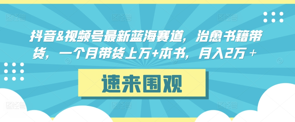 抖音&视频号最新蓝海赛道，治愈书籍带货，一个月带货上万+本书，月入2万＋【揭秘】-第一资源网