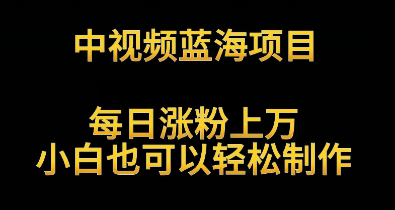 中视频蓝海项目，解读英雄人物生平，每日涨粉上万，小白也可以轻松制作，月入过万不是梦【揭秘】-第一资源网