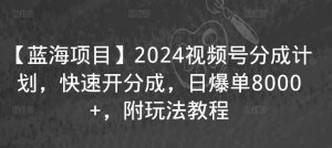 【蓝海项目】2024视频号分成计划，快速开分成，日爆单8000+，附玩法教程-第一资源网
