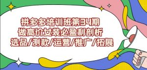 拼多多培训班第34期：做高价女装必盈利剖析选品/测款/运营/推广/拓展-第一资源网
