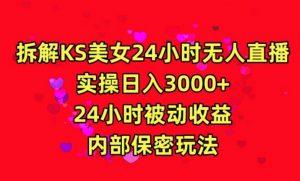 利用快手24小时无人美女直播，实操日入3000，24小时被动收益，内部保密玩法【揭秘】-第一资源网