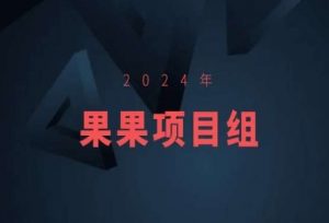 2024年果果项目组项目合集-果果最新项目-第一资源网