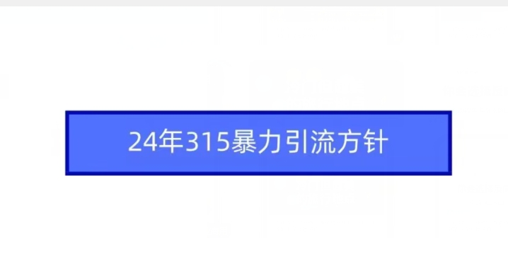 24年315暴力引流方针-第一资源网