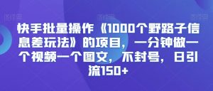快手批量操作《1000个野路子信息差玩法》的项目，一分钟做一个视频一个图文，不封号，日引流150+【揭秘】-第一资源网