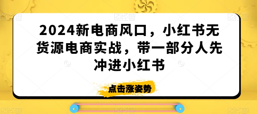 2024新电商风口，小红书无货源电商实战，带一部分人先冲进小红书-第一资源网