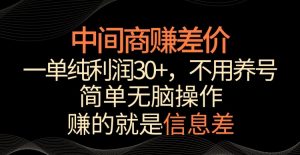 中间商赚差价，一单纯利润30+，简单无脑操作，赚的就是信息差，轻轻松松日入1000+【揭秘】-第一资源网