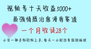 十天收益5000+，多平台捞金，视频号情感治愈漫剪，一个月收徒28个，小白一部手机轻松上手【揭秘】-第一资源网