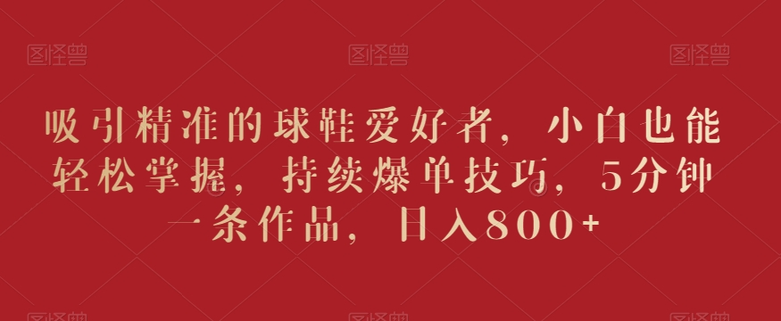吸引精准的球鞋爱好者，小白也能轻松掌握，持续爆单技巧，5分钟一条作品，日入800+【揭秘】-第一资源网