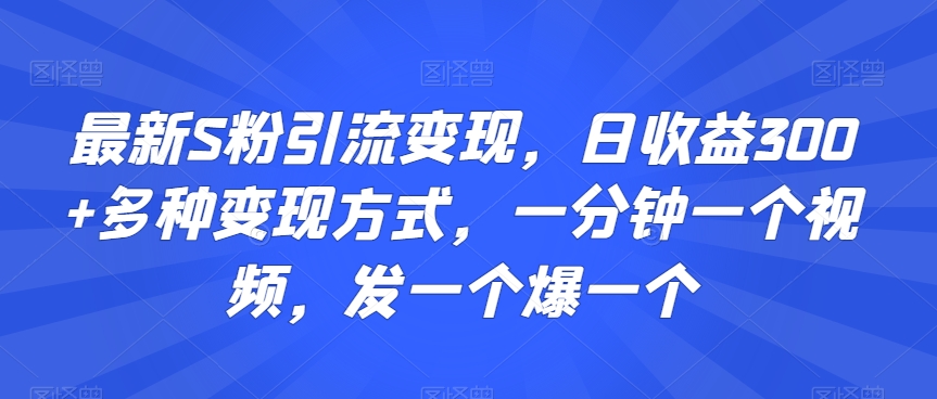 最新S粉引流变现，日收益300+多种变现方式，一分钟一个视频，发一个爆一个【揭秘】-第一资源网