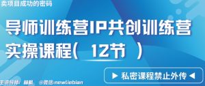 导师训练营3.0IP共创训练营私密实操课程（12节）-卖项目的密码成功秘诀【揭秘】-第一资源网