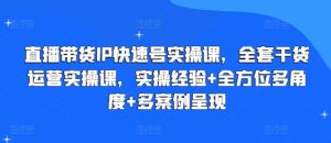 直播带货IP快速号实操课，全套干货运营实操课，实操经验+全方位多角度+多案例呈现-第一资源网