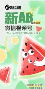 梅花实验室2024年AB技术视频号AB合成破解版-第一资源网