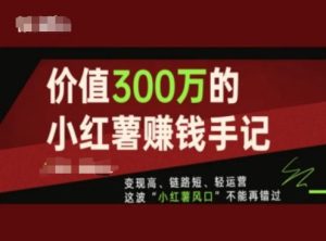 价值300万的小红书赚钱手记，变现高、链路短、轻运营，这波“小红薯风口”不能再错过-第一资源网
