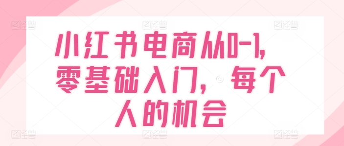 小红书电商从0-1，零基础入门，每个人的机会-第一资源网