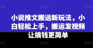 小说推文搬运新玩法，小白轻松上手，搬运发视频让搞钱更简单-第一资源网