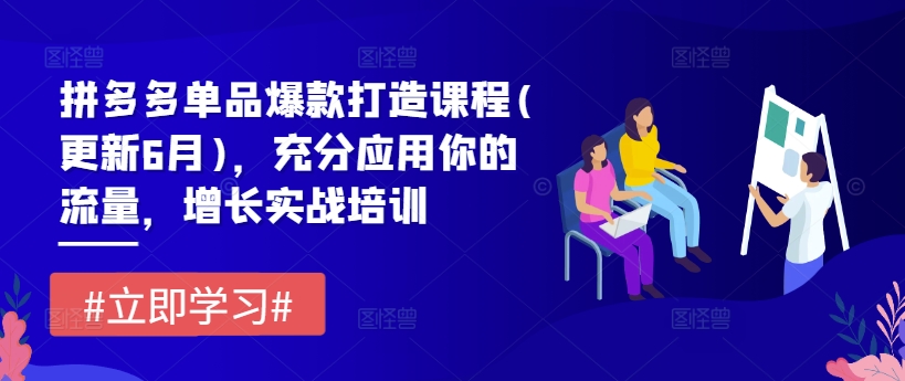 拼多多单品爆款打造课程(更新6月)，充分应用你的流量，增长实战培训-第一资源网