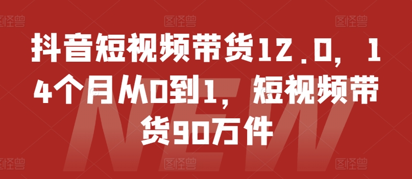抖音短视频带货12.0，14个月从0到1，短视频带货90万件-第一资源网